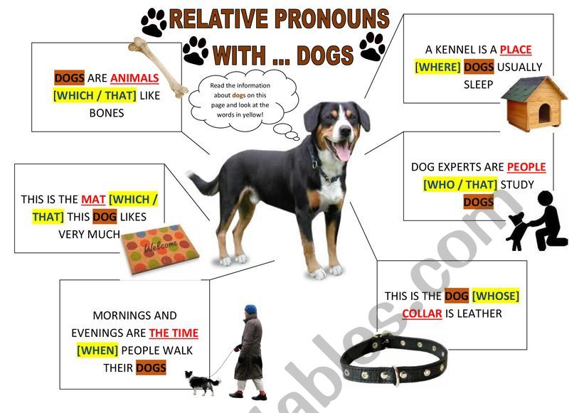RELATIVE PRONOUNS [theory and little practice]